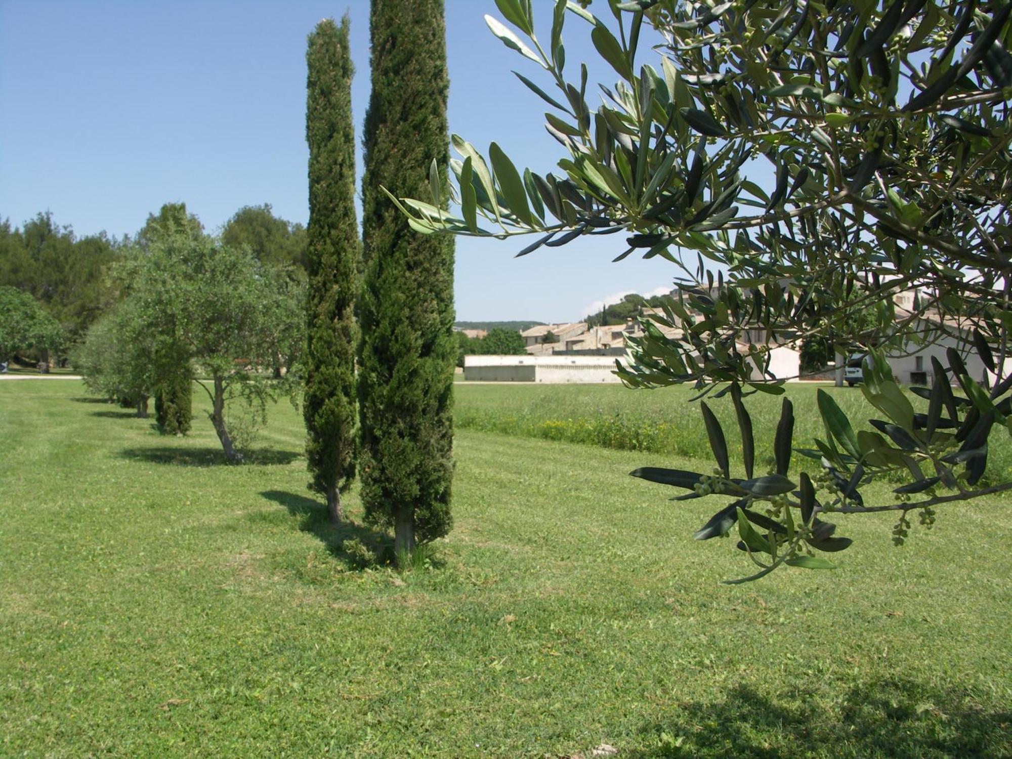Отель Domaine Saint Martin Valliguieres Экстерьер фото